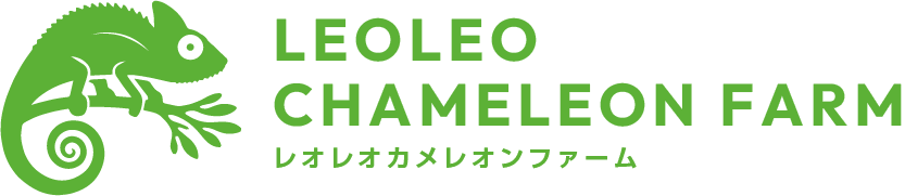 レオレオカメレオンファーム